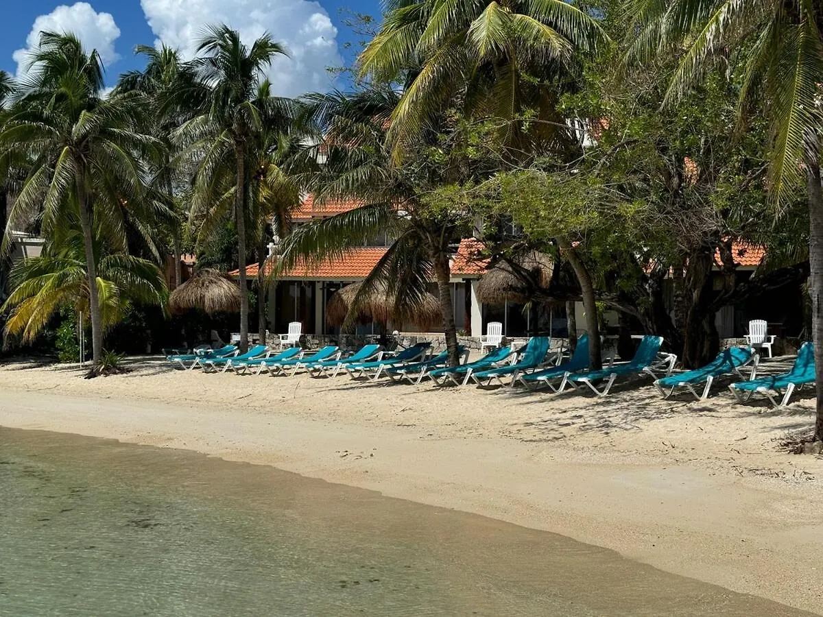 Azure Caribbean Beach Front Puerto Aventuras Apartment